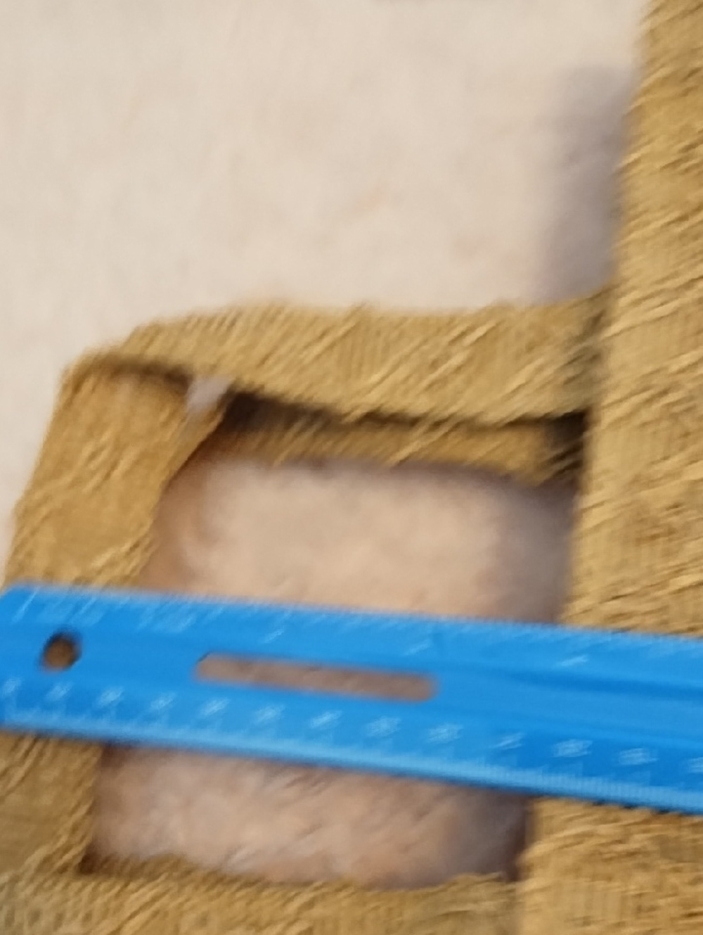 Dior Woven Straw Tote in Tan with White Logo - Picture 8 of 10